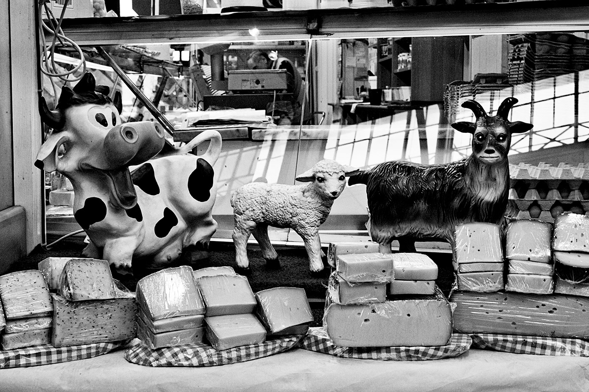 berlin arminiushalle farmers market b/w black and white schwarz/weiss dogs hunde essen Food  arts and crafts moabit books buecher