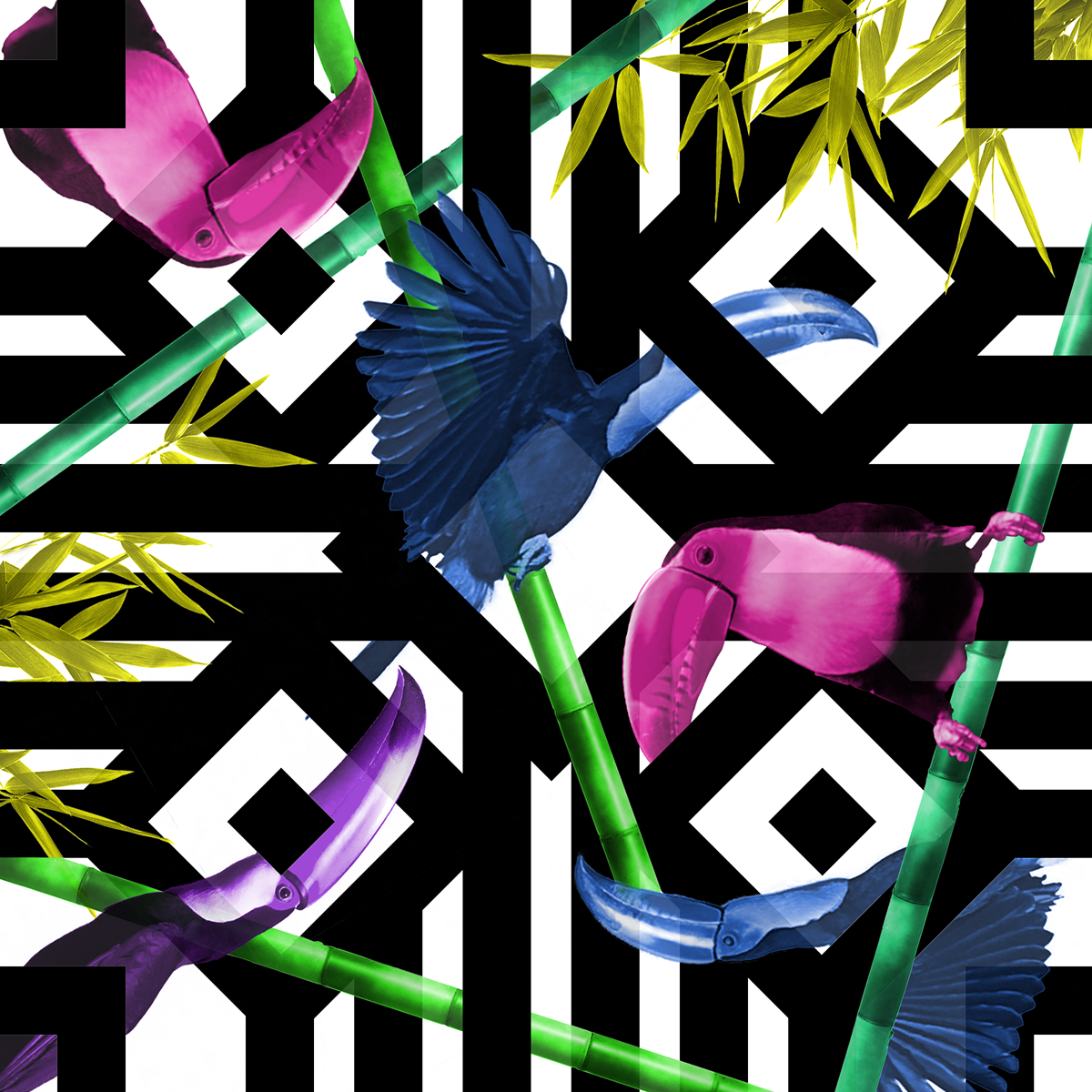 collage pattern Costa Rica birds Tropical geometric plants Patrones animals aves