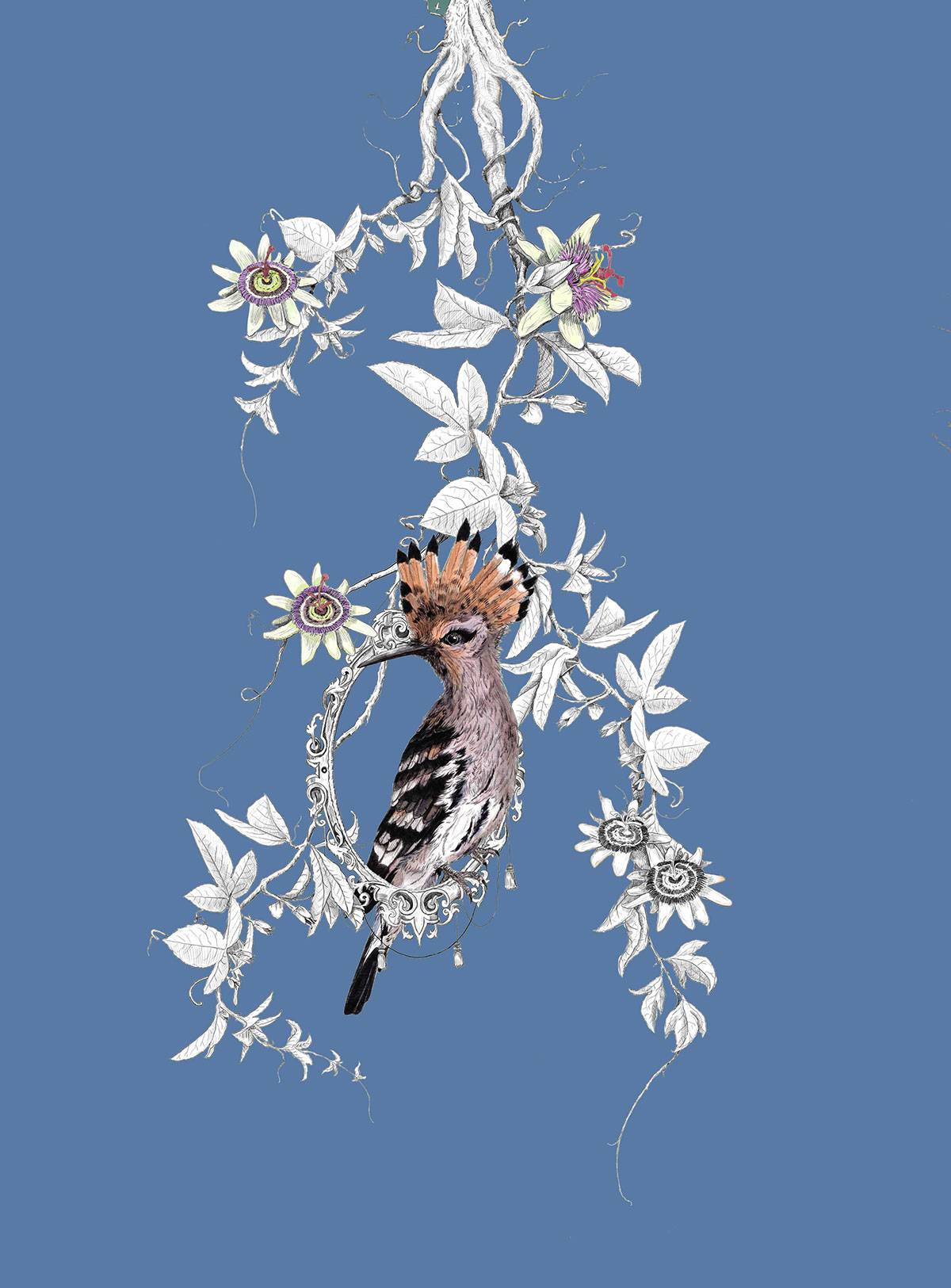 passion flower vintage hoopoe print screenprint bird pattern