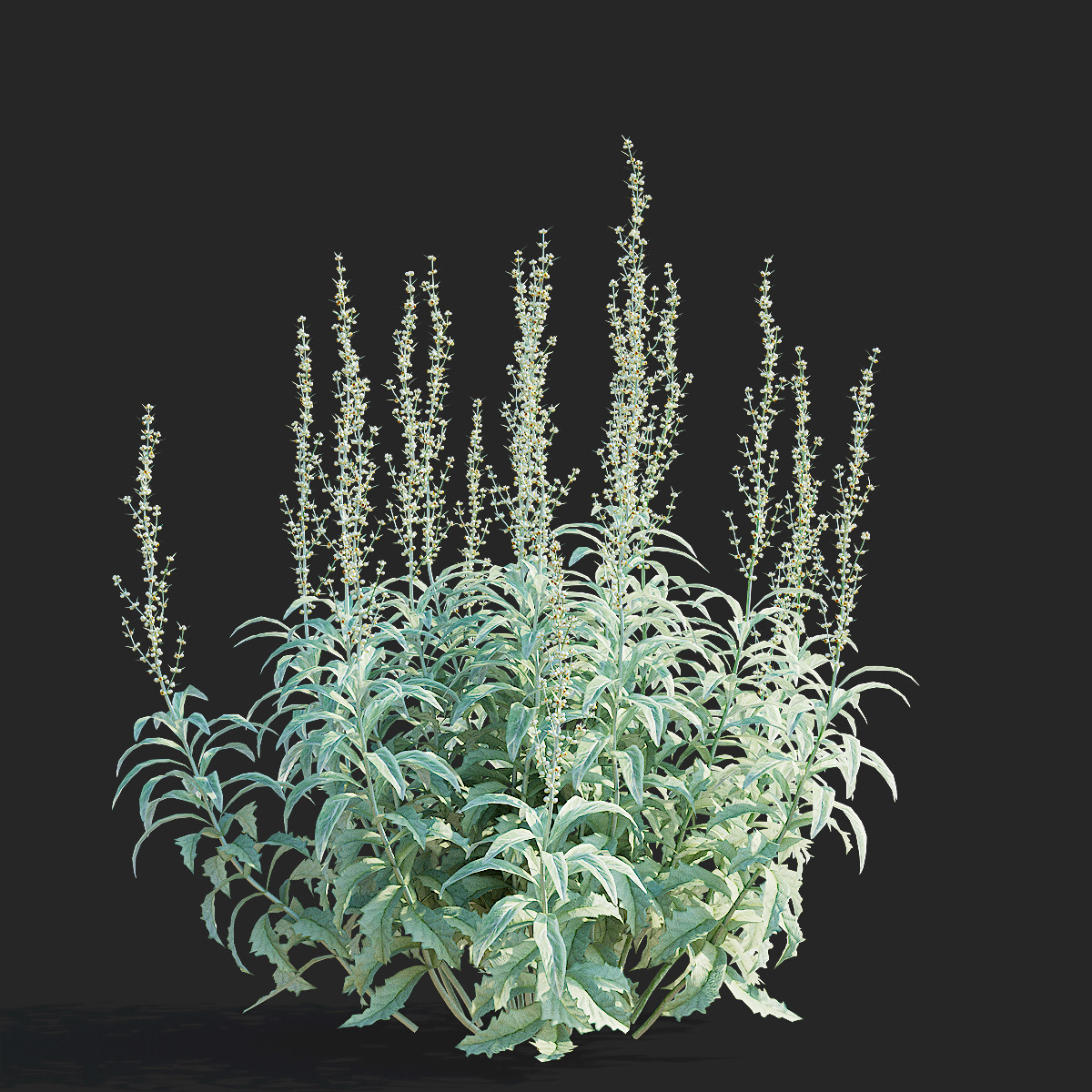 3D 3d modeling Render visualization 3ds max exterior archviz plants bush sagebrush