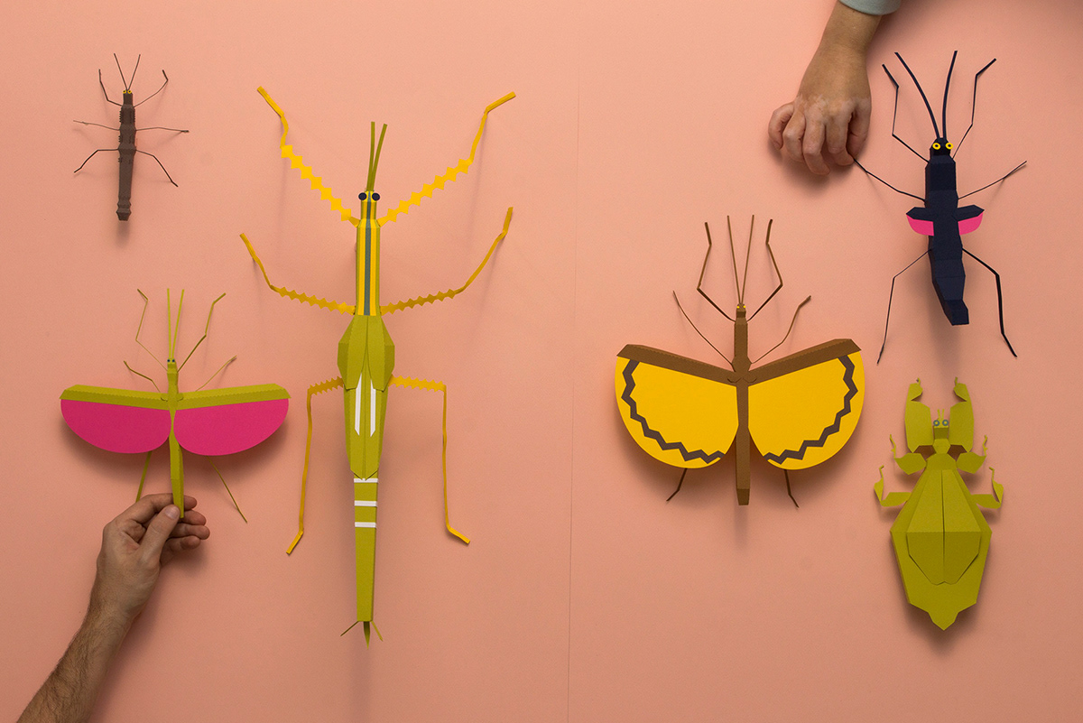 ILLUSTRATION  insect papercraft illustration