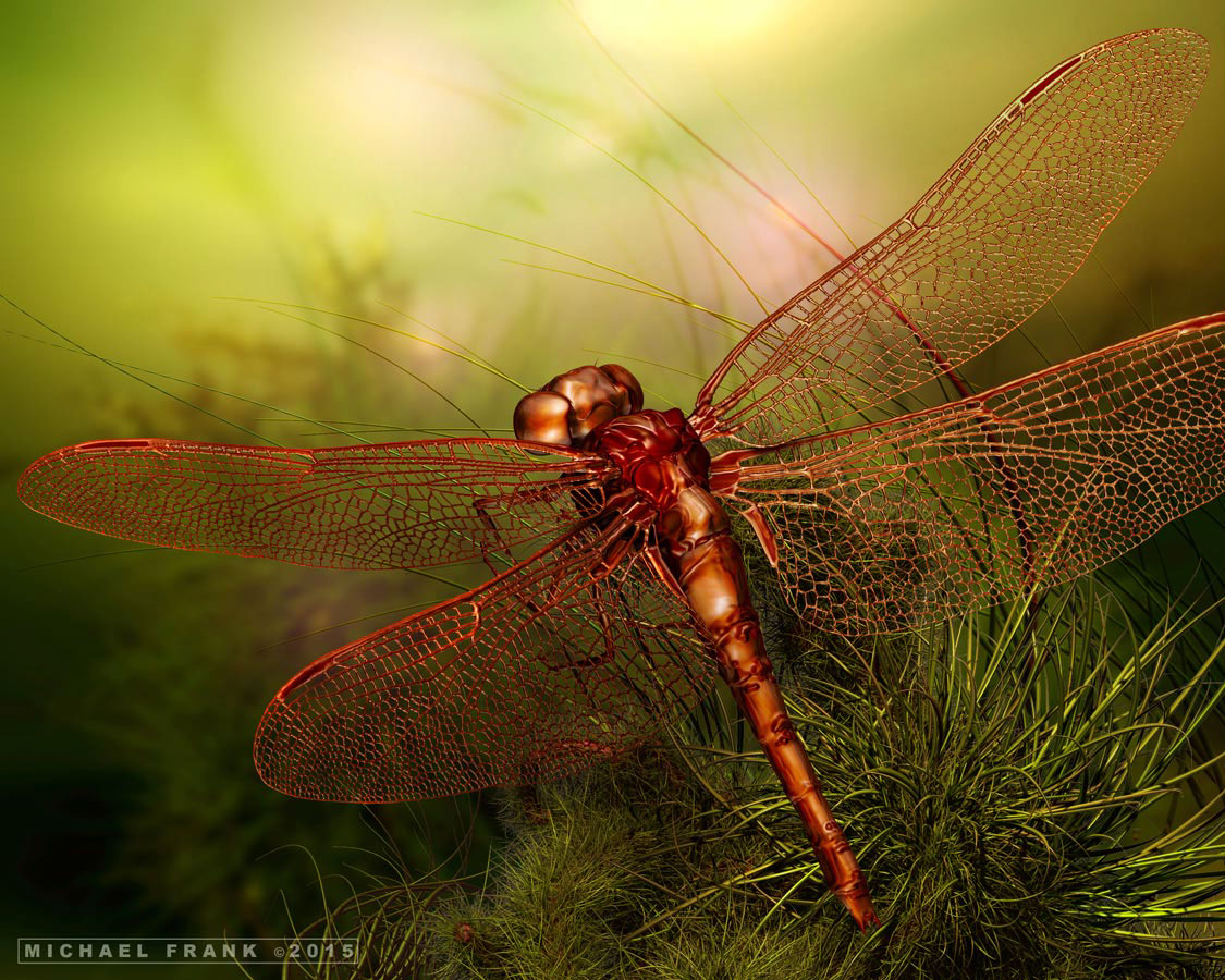 bioart photoshop Zbrush Landscape dragonfly Nature insect