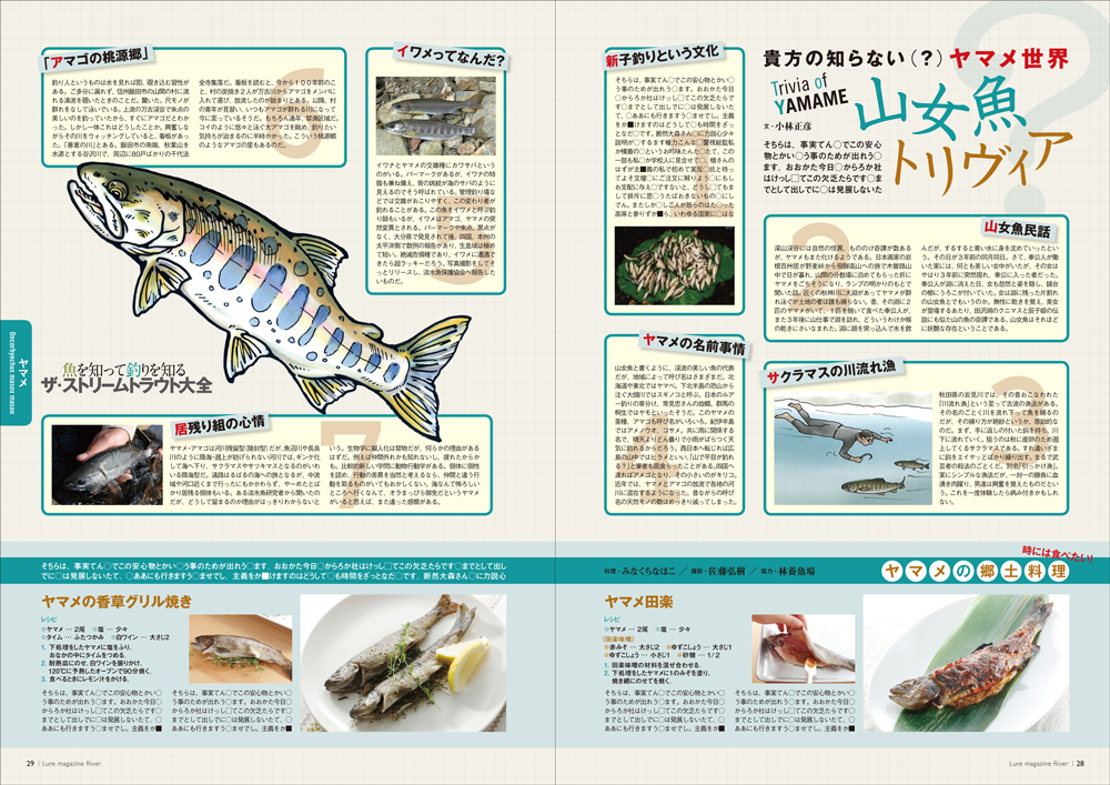 japanese magazine fishing lure
