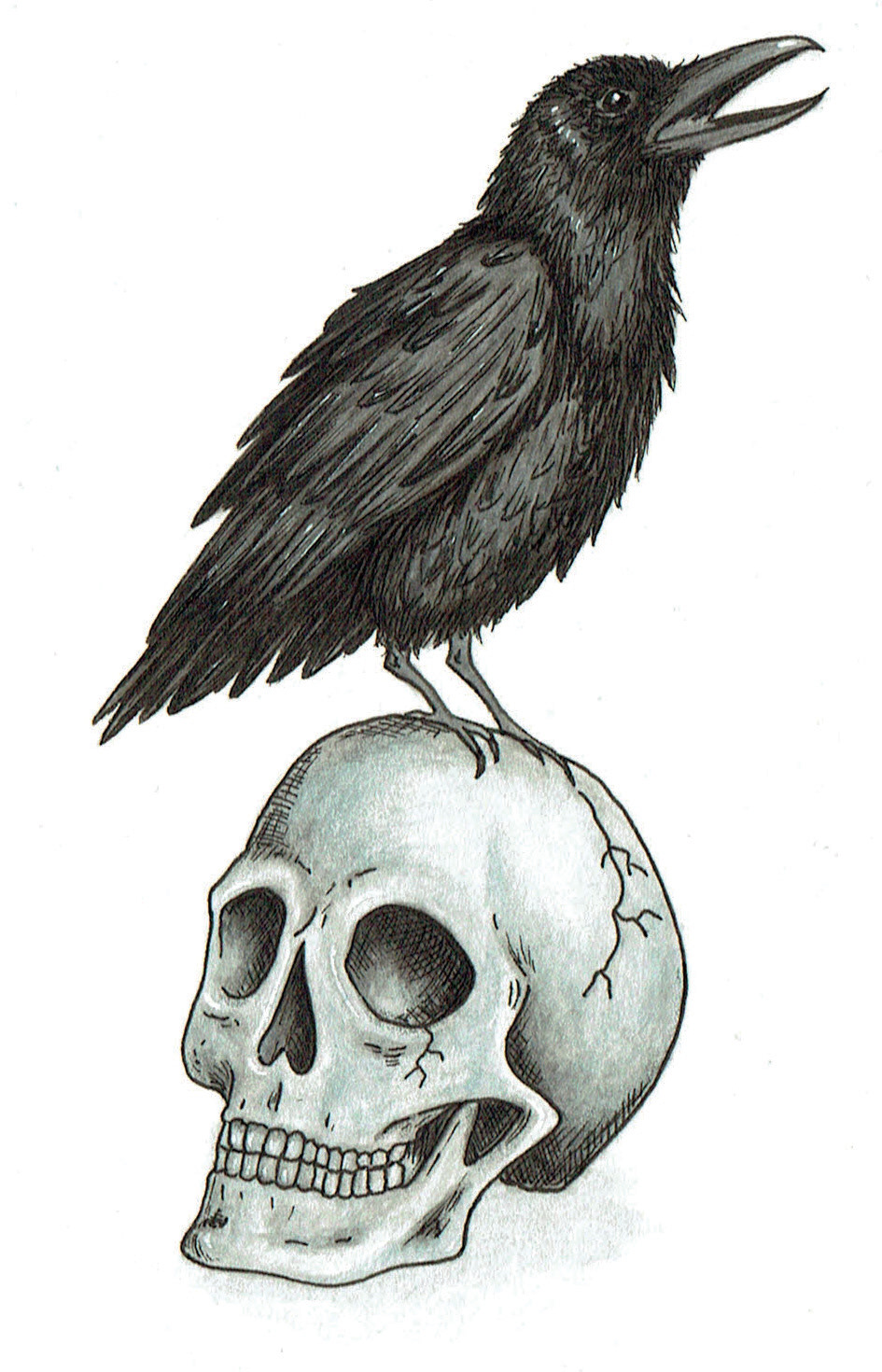 ilustración análoga ilustración editorial Edgar Allan Poe