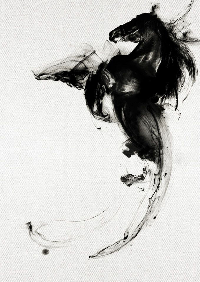 horse illustration ink illustration black & white