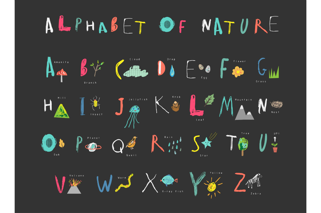 educational font alphabet Preschool read study vector letter kids ABC forest english school