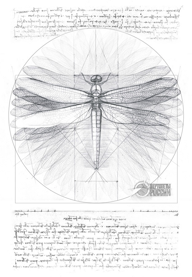 dragonfly Russian Helicopters helicopter Vitruvian man graphic art sketch leonardo da vinci