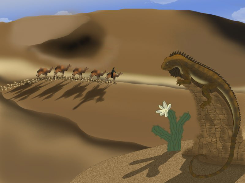 Варан верблюд пустыня фотошоп ящерица
