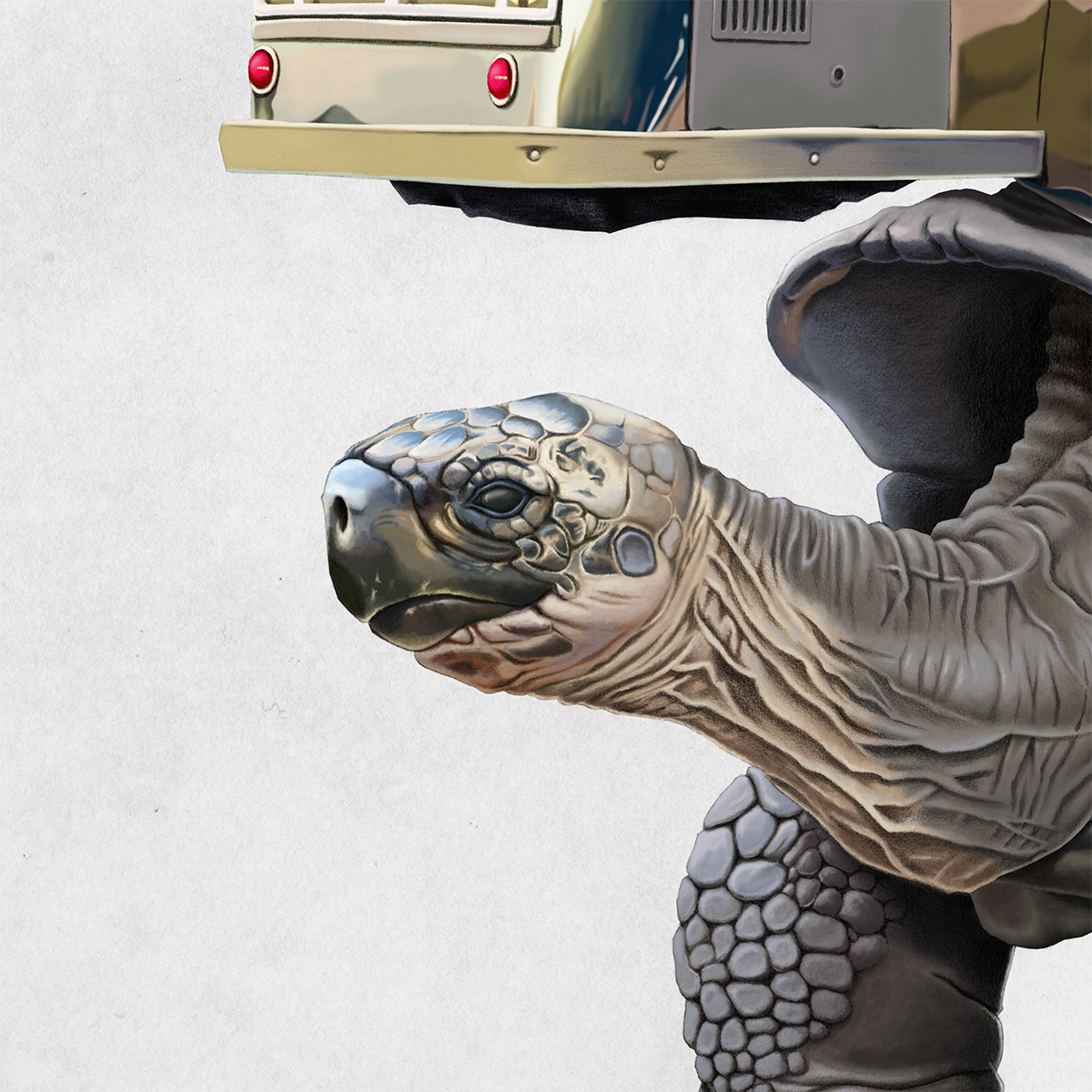 tortoise airstream pimp Vehicle mammal illustrations draawings pencil digital Nature rob snow