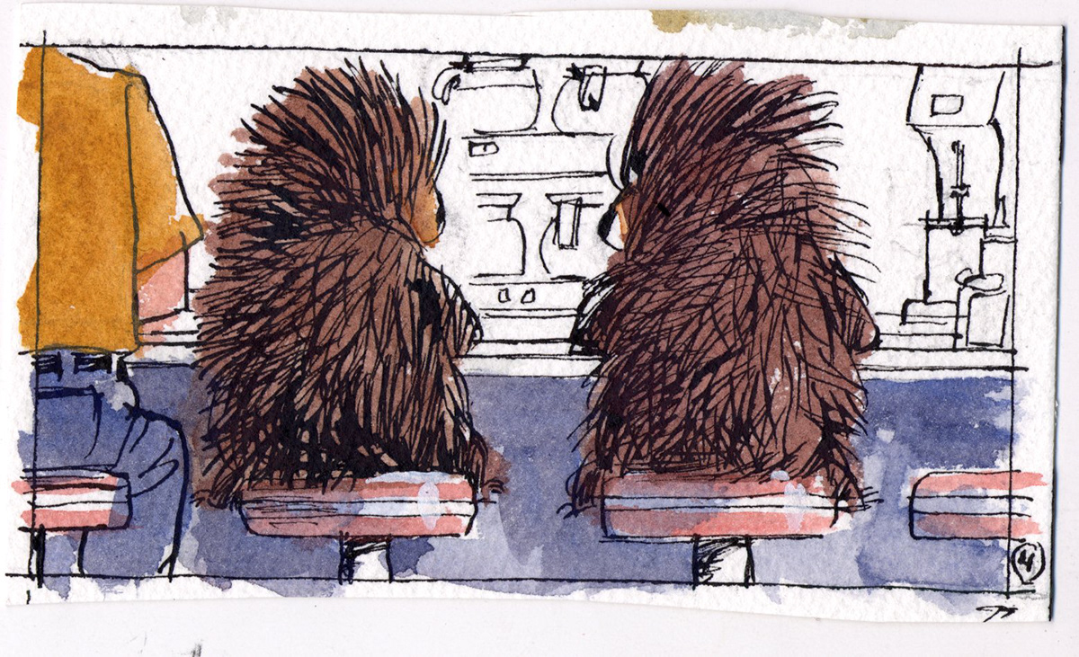 #porcupine #Watercolor #illustration #StoryBoards