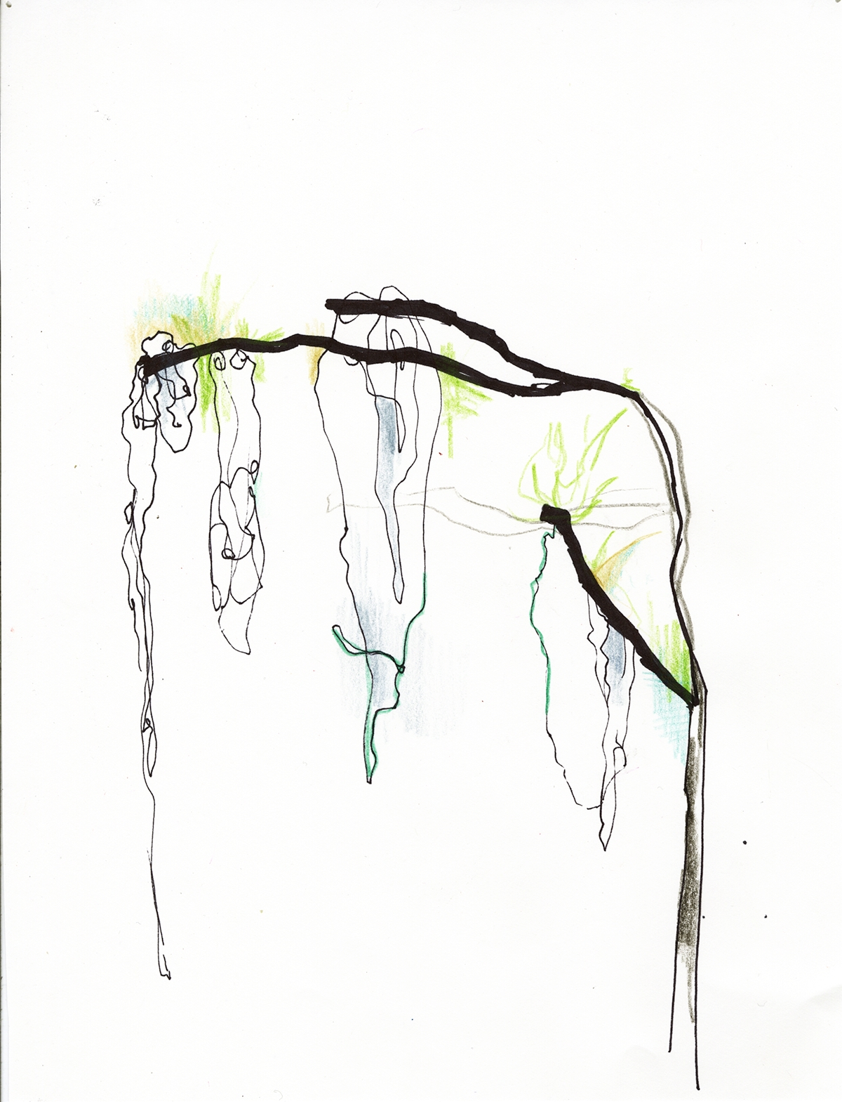 colored pencil graphite pen leaves branches watercolor Nature conservatory plants ink collage
