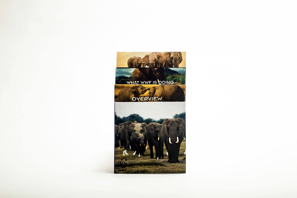 brochure WWF world wide fund elephants type print animals save Layout