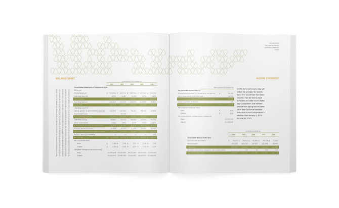 volcom stone annual report ANNUAL report type publication