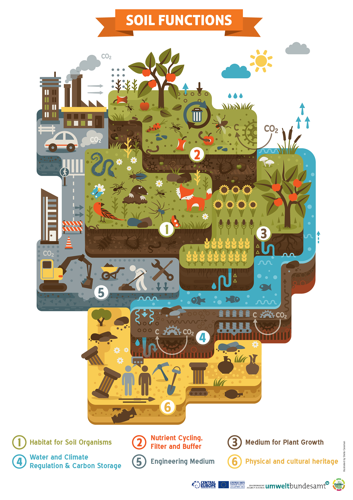 infographic colorful soil function land Ecology animals buildings people health soil Health green Food  stats statistic