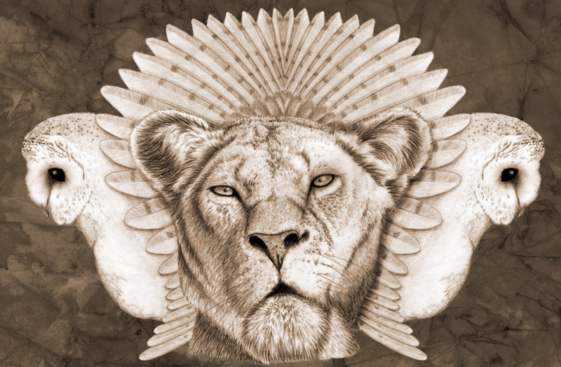 animal lion lioness feathers bird owl crown