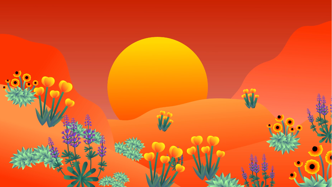 Flowers desert Wildflowers arizona animation  infographic sunset