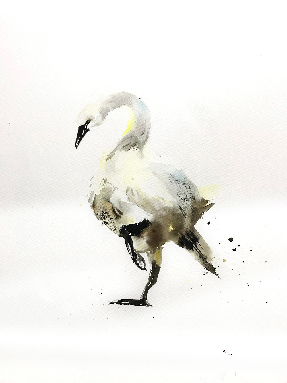 animal ink sketches ILLUSTRATION  Behance animals horse bird snail dog