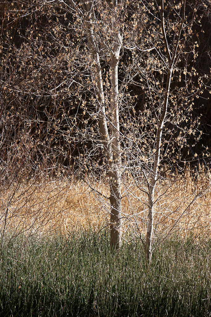 southwest utah Colorado Plateau Landscape Nature winter