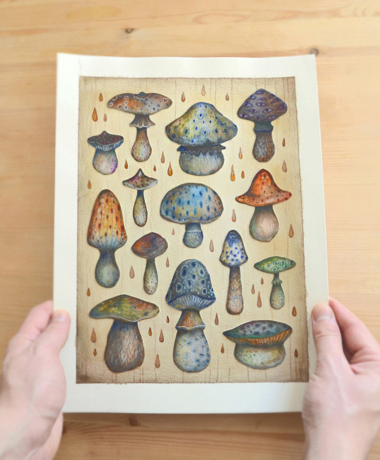 Mushrooms Fungi mushroom cutouts fungi artwork mushroom art the fungus kingdom fungi art mushroom illustration handmade