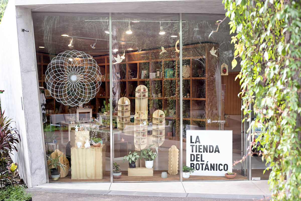 Visual Merchandising furniture wood cactus Botanical garden shop interior design  product design  Window Display