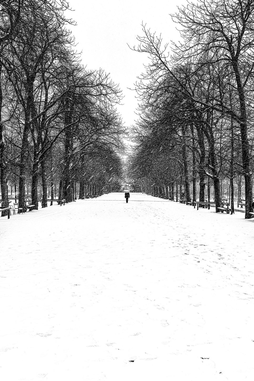 winter Paris black & white