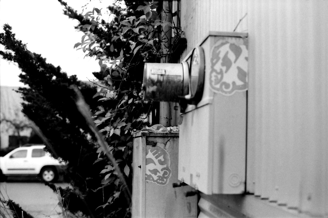 Seattle Graffiti seattle Film Negatives Tyler Stockdale 35mm