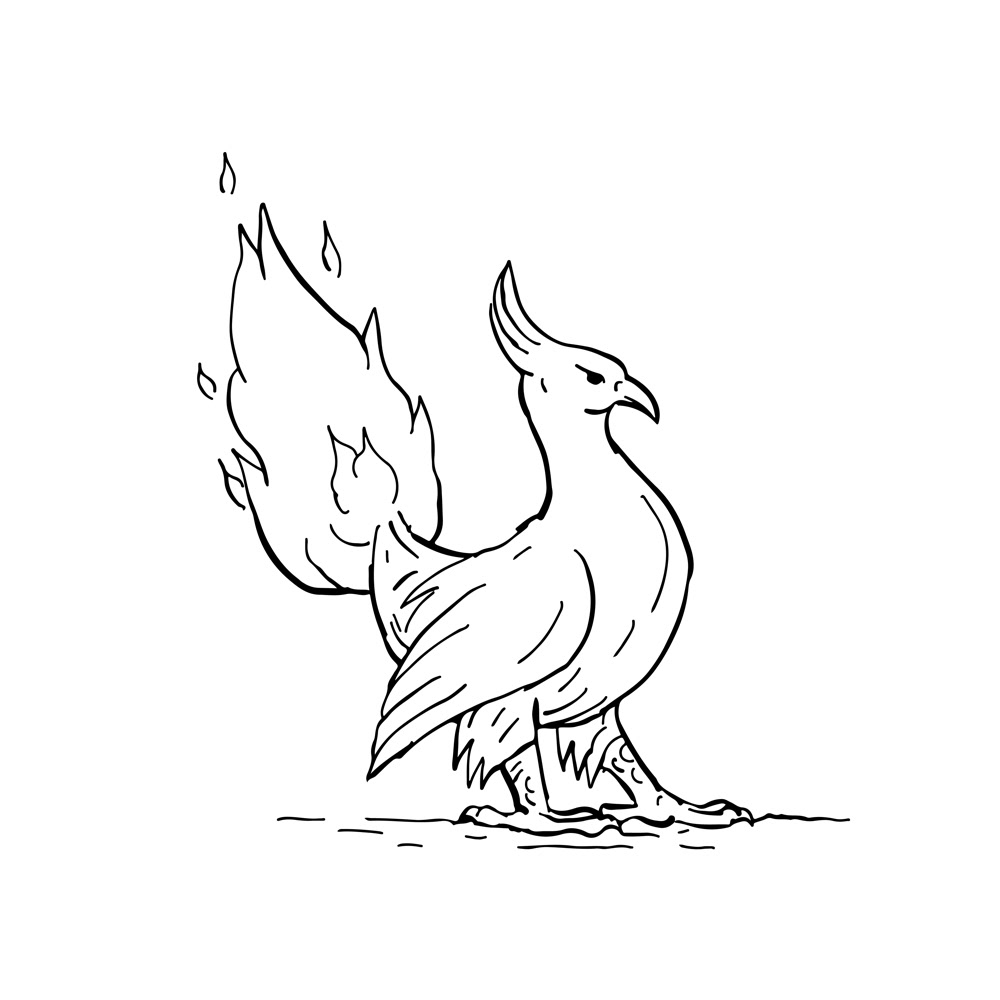 Drawing  Phoenix LONG-LIVED bird burning tail Flames Flaming fire greek mythology regenerate