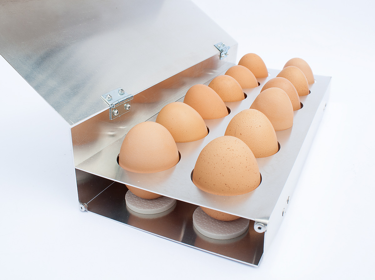eggs  reusable   carton  sustainable