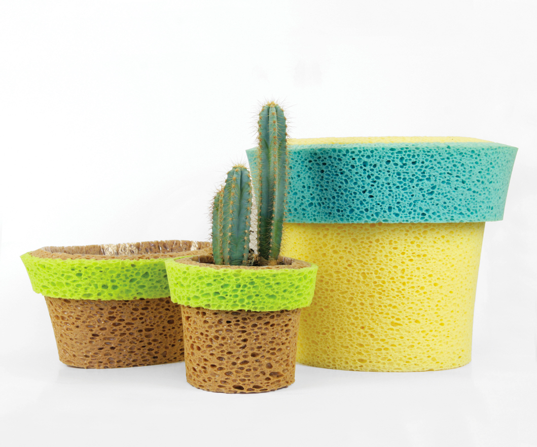 Sponge pot plants colorful