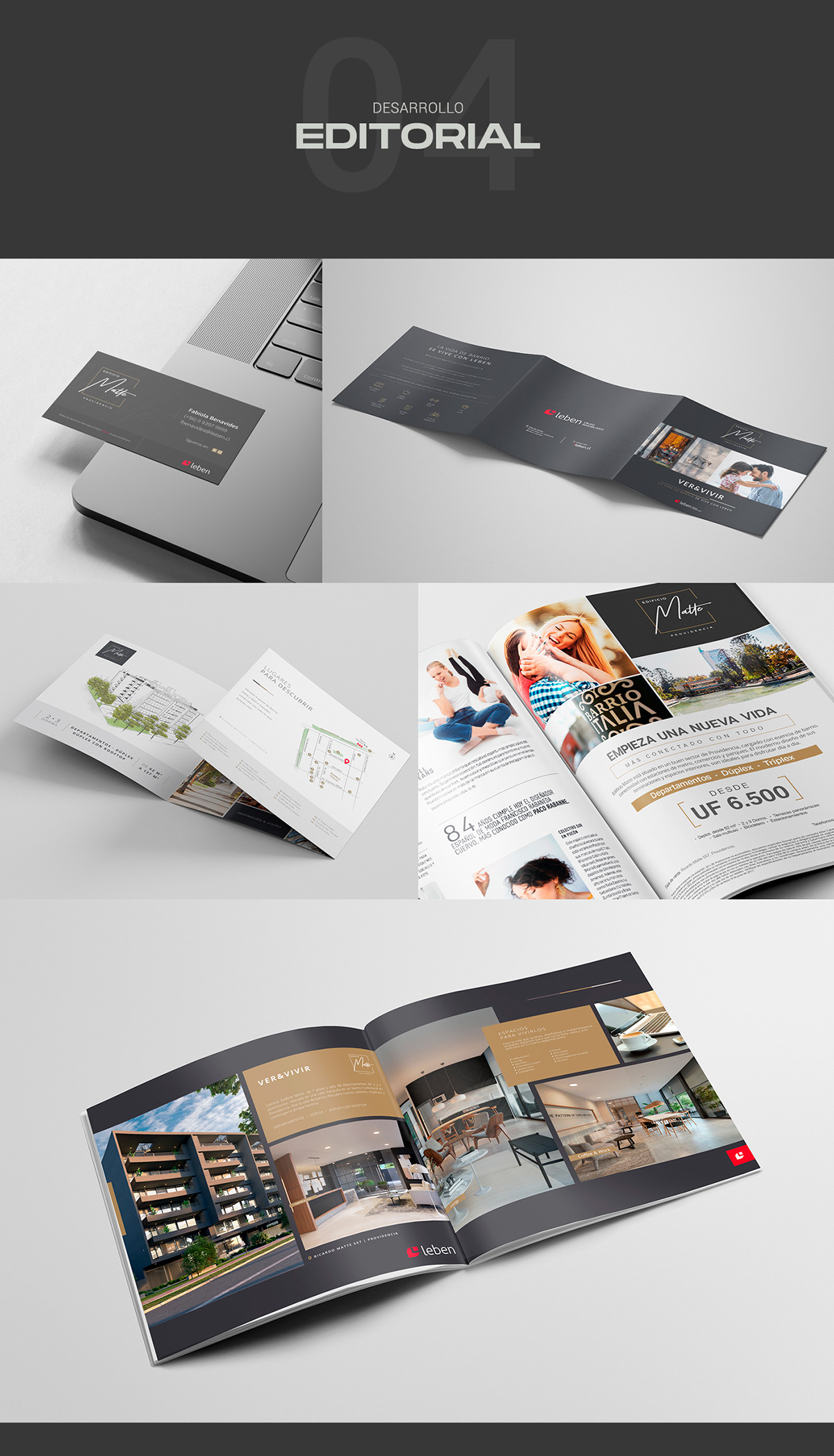 Branding Identity brochure Logotype marketing   realestate social media visual identity