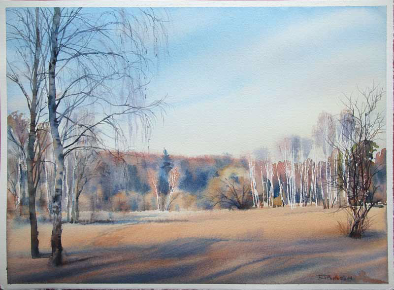 Landscape watercolor sketch forest birch
