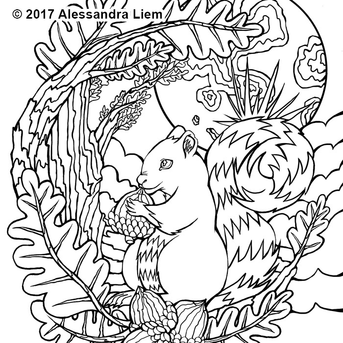 coloring book adult coloring book ILLUSTRATION  Drawing  fantasy Nature fairy Fairies coloring