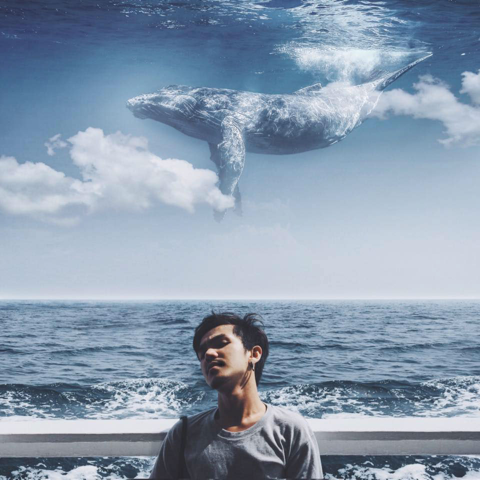 surreal Whale SKY sea photoshop surrealism
