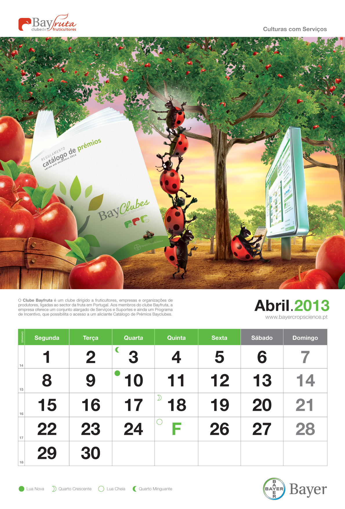 Calendar 2013 Bayer print calendar agriculture beetle draw months days year