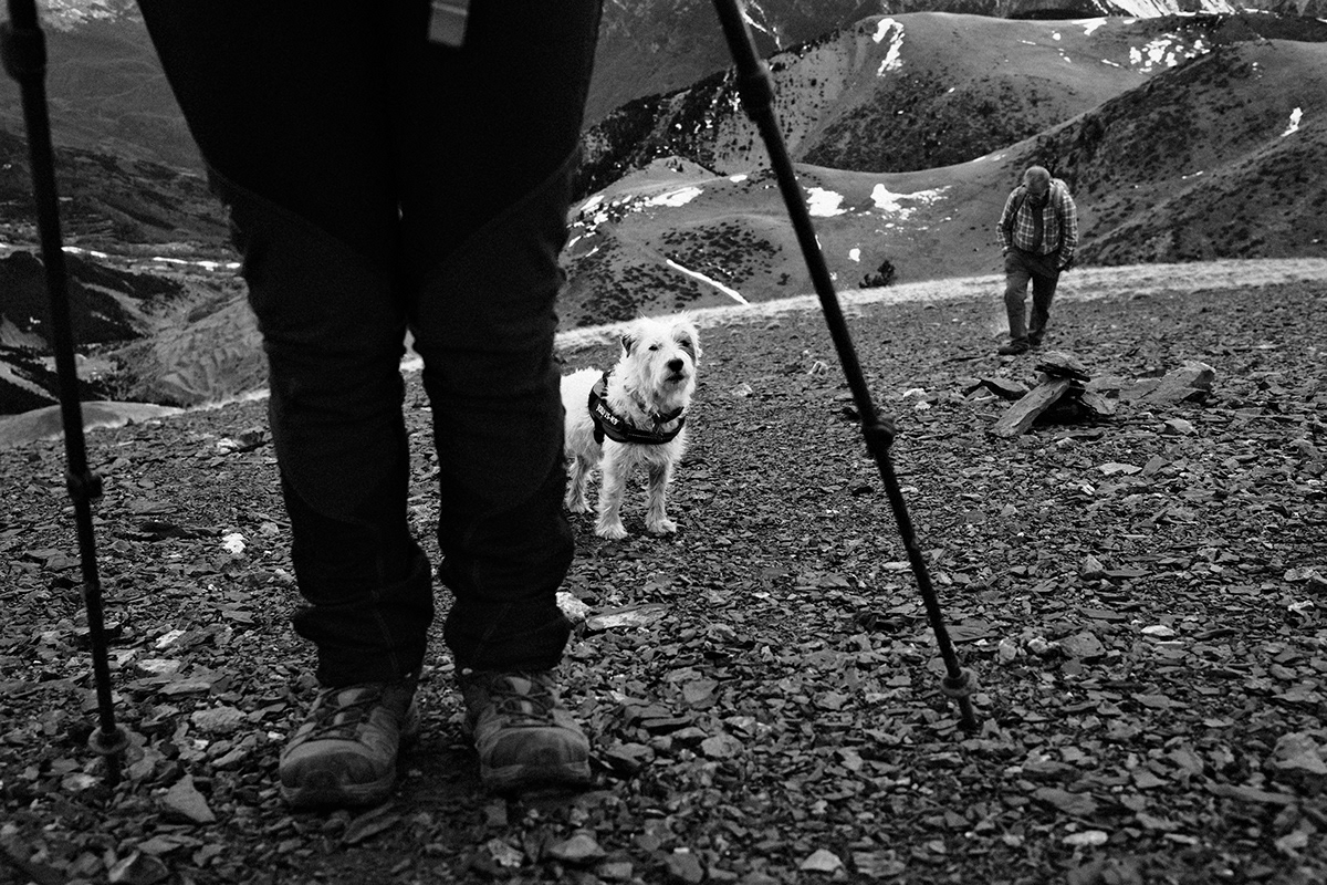 #Fujifilm Photography  Nature mountains black and white pyrenees fujifilmx100v trail #fujifilmx b&w