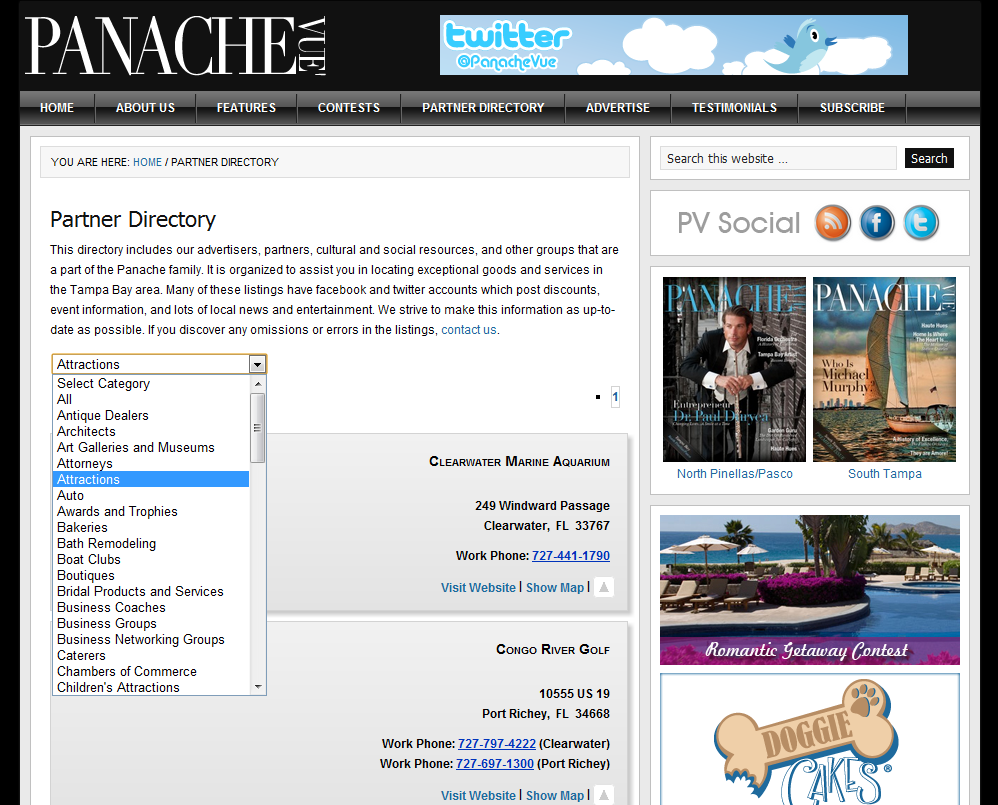 Website Panache Vue Panache Vue Magazine magazine tampa Tampa Bay