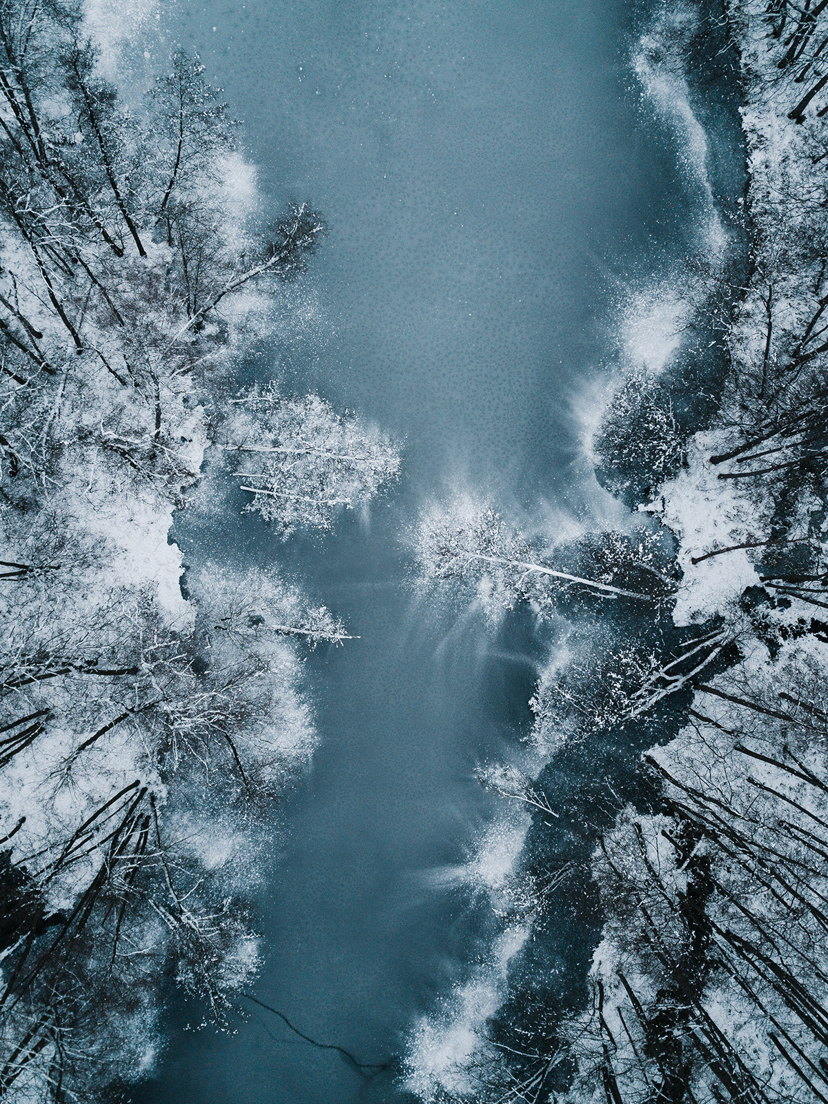 frozen lake from above with lying tree trunks in winter