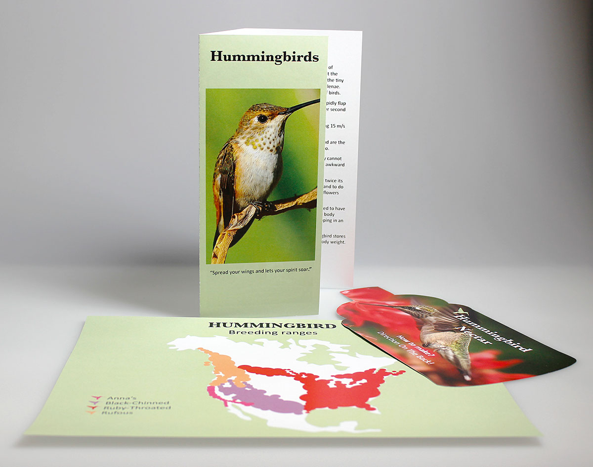 brochure bird map hummingbird nectar hummingbird nectar Nature feed instruction bird feeing