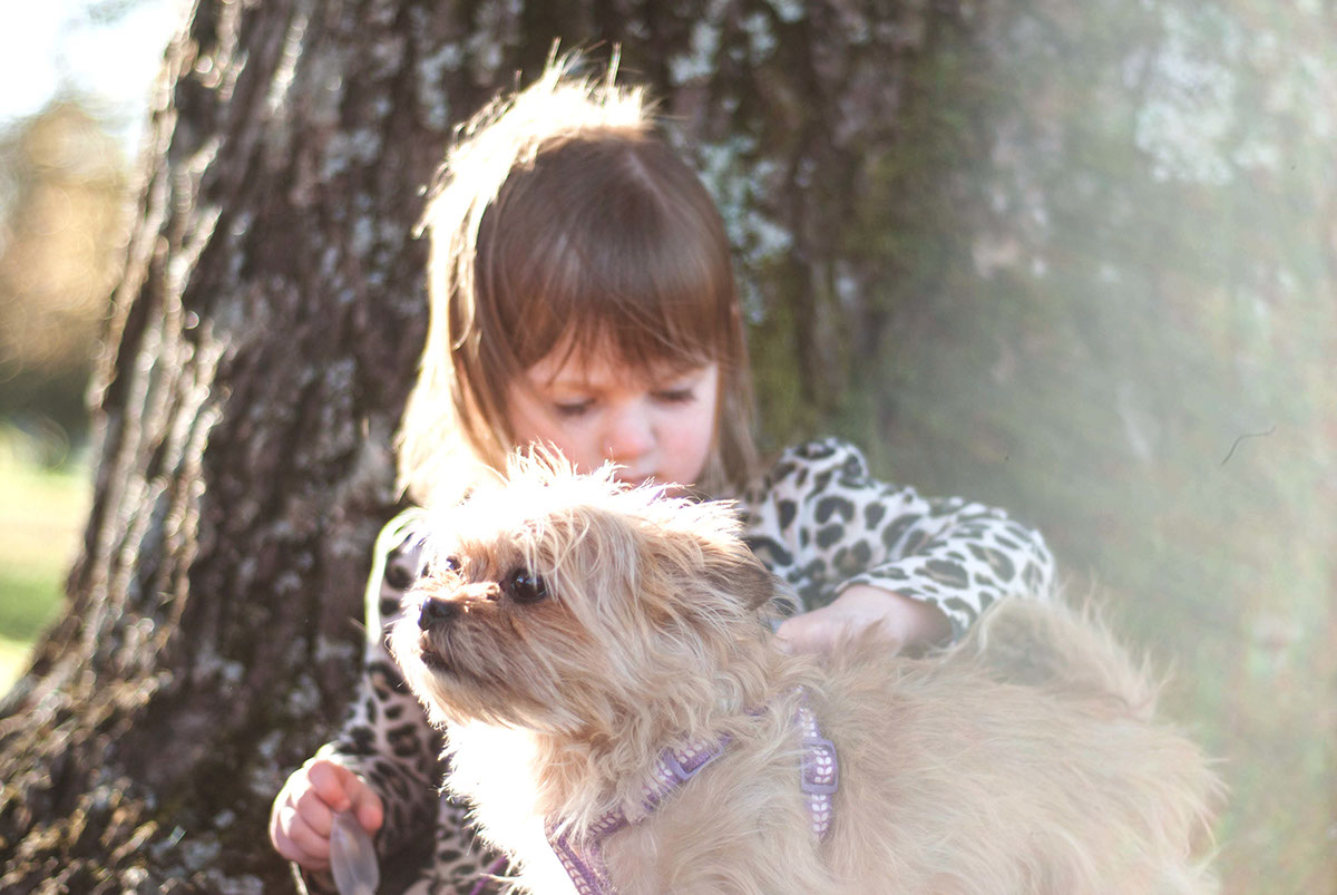 Adobe Portfolio Photography  family child portrait animal