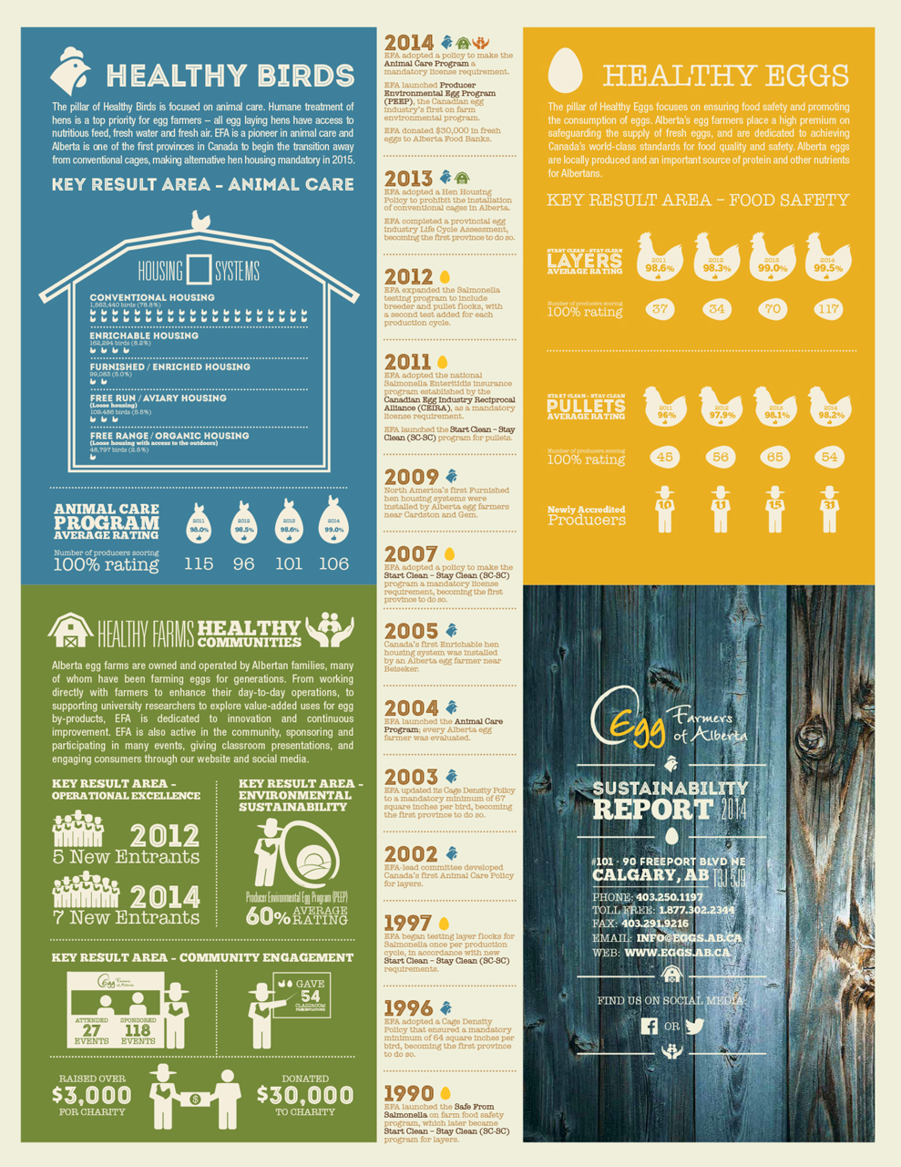 annual report infographic design Print Media