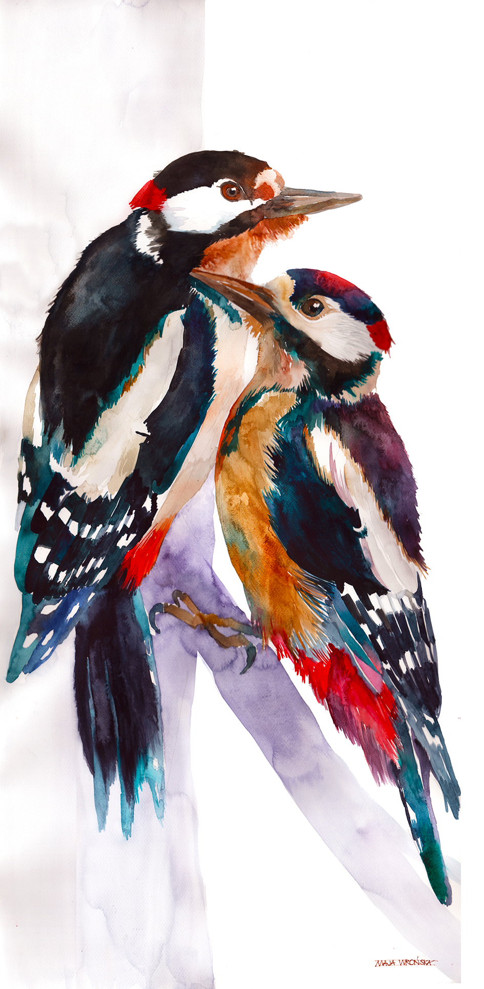 bird birds watercolor majawronska maja wronska takmaj Architectural watercolors watercolour watercolors cute colors