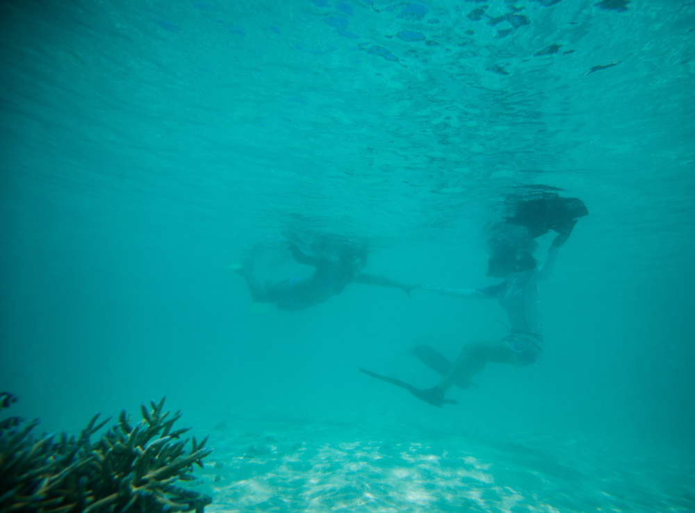 luxury resor Maldives Travel coral reef taj hotels Ocean underwater lifestyle ARIEL
