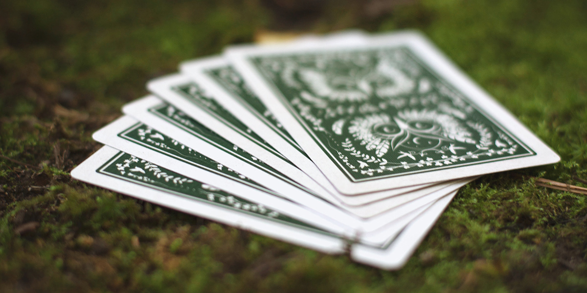 cardistry cards forest graphic design  ILLUSTRATION  Magic   Nature Playing Cards Poker woods