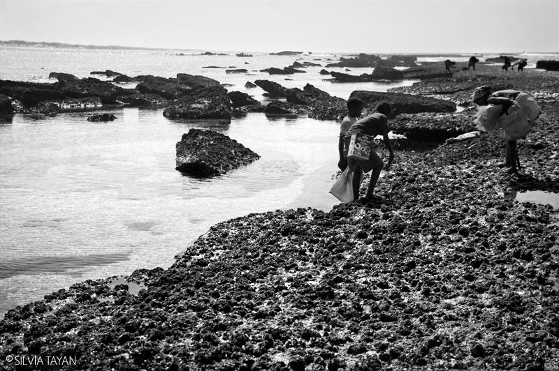 mozambique  women  children  B/W  indian ocean seafood low tide