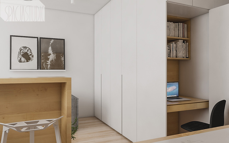 interior design  visualisation architecture furniture design  studio apartment poland cracow