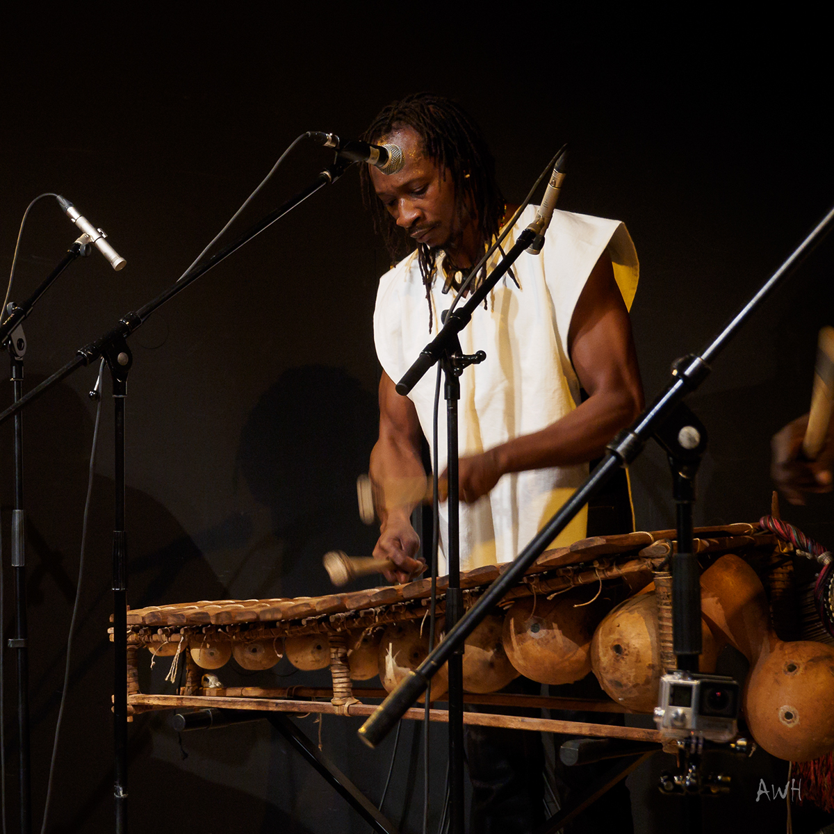 Bangoura Group afrikanische Musik Djembemusik Livemusik percussion djembe Ngoni balafon interkulturell traditionell