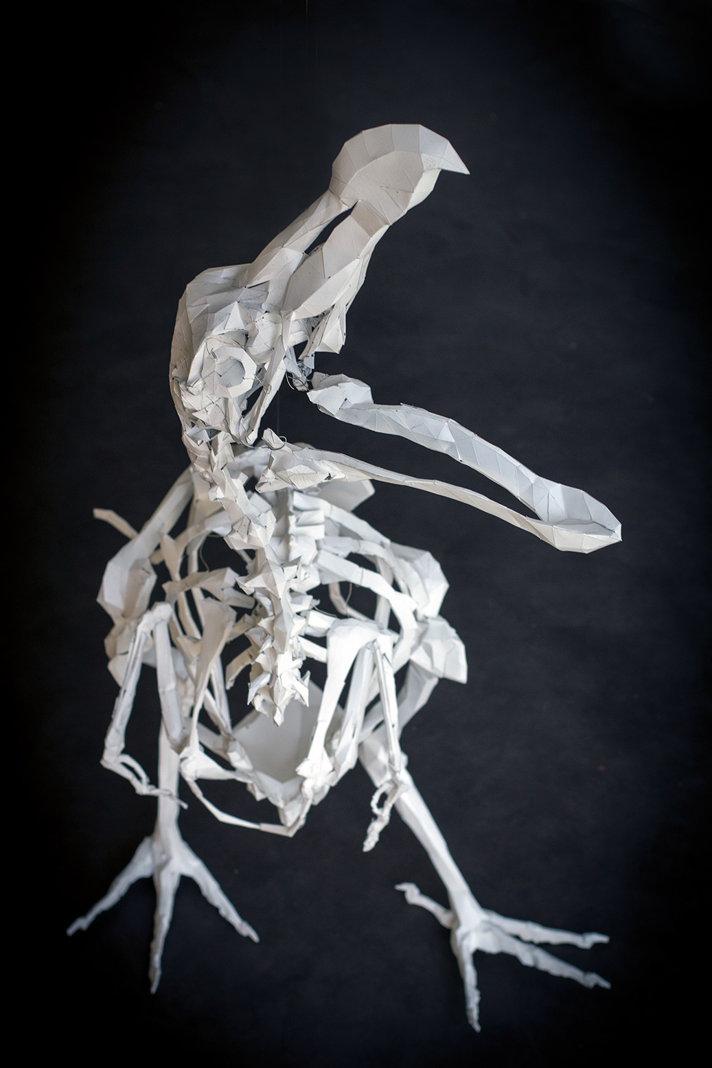 dodo skeleton papercraft paper
