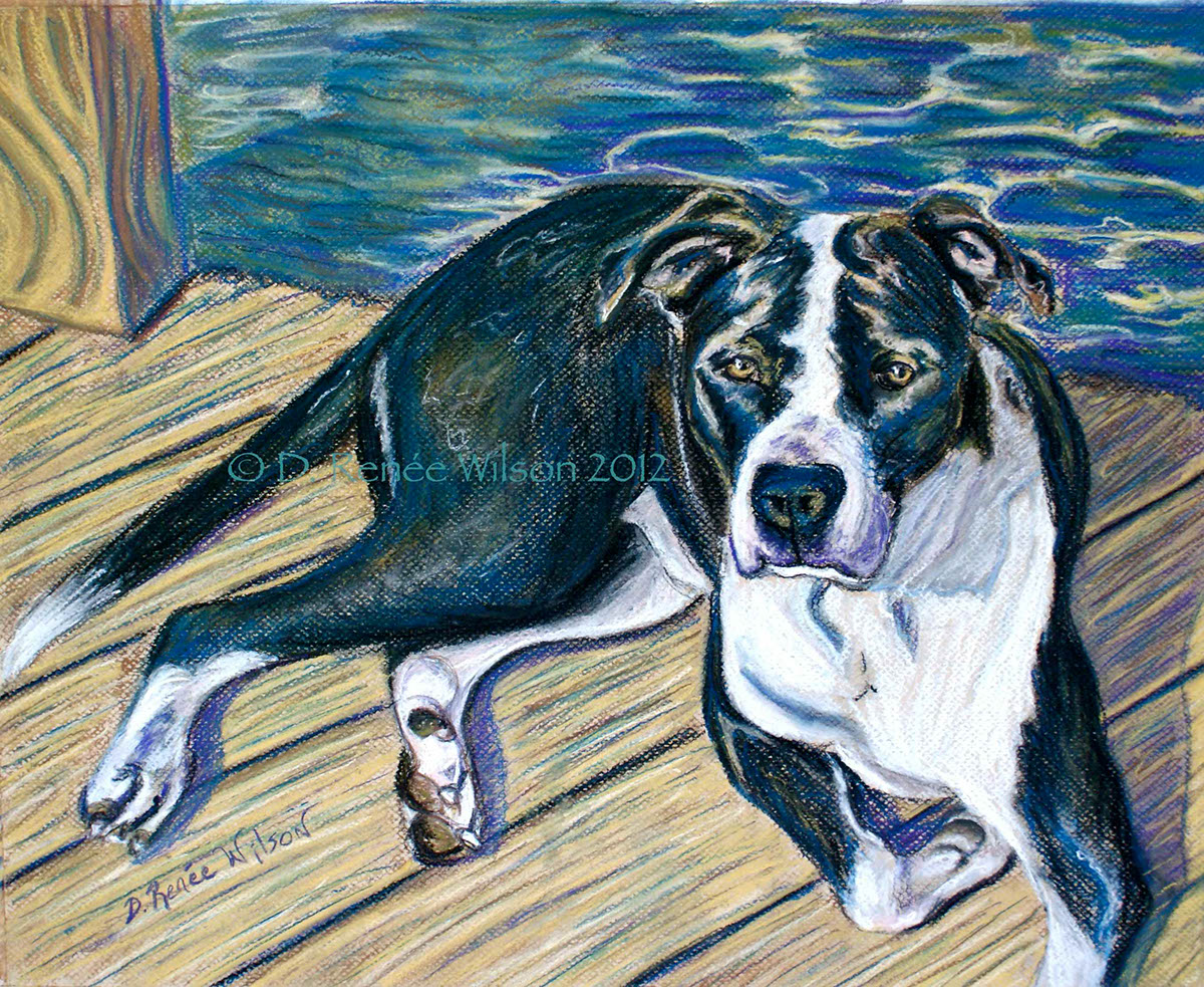 dogs pets Pet portraits animal paintings pastel paintings SCAD D Renee Wilson animal rescue