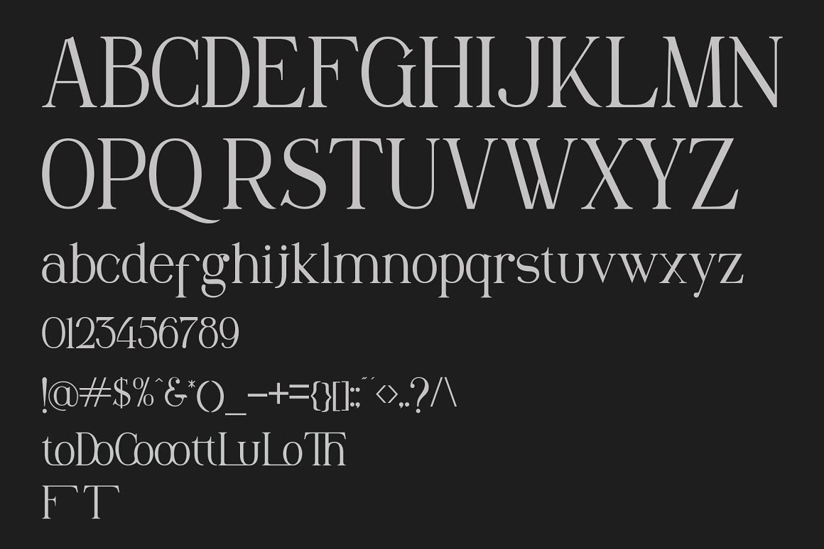 elegant elegant font font lettering luxury luxury font serif Serif Font typographic typography  