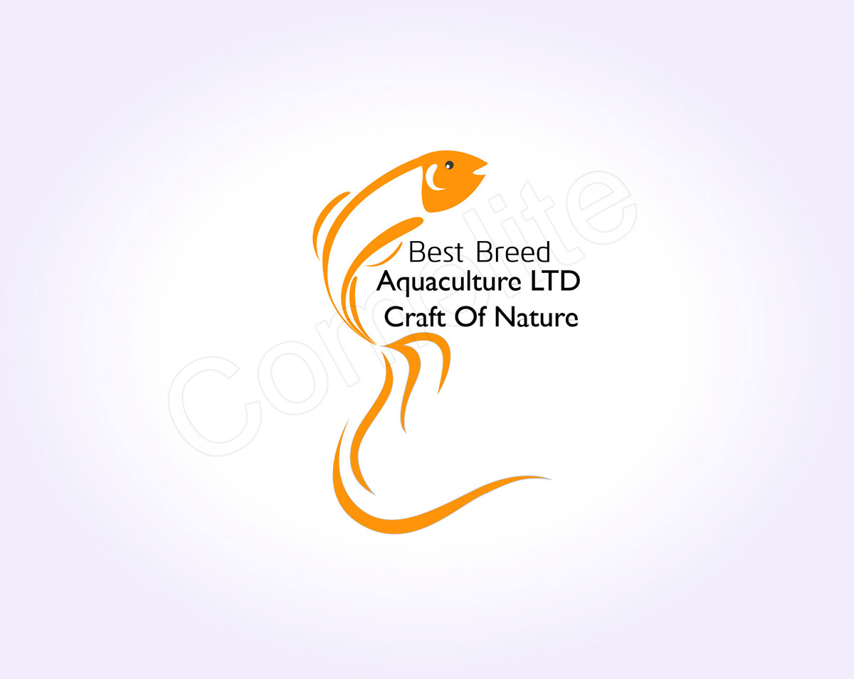 fish Logo Design Brand Design logo fish